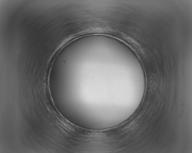 X0000083531170200702240010