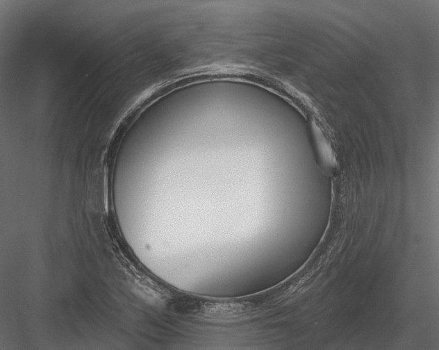 X0000083531171200702240010