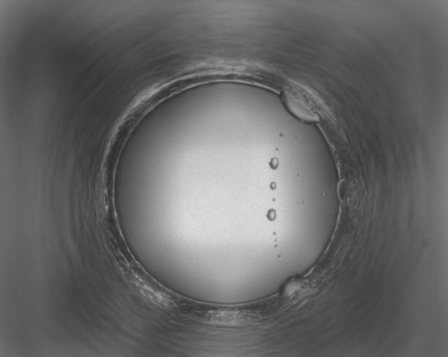 X0000083531172200702240010