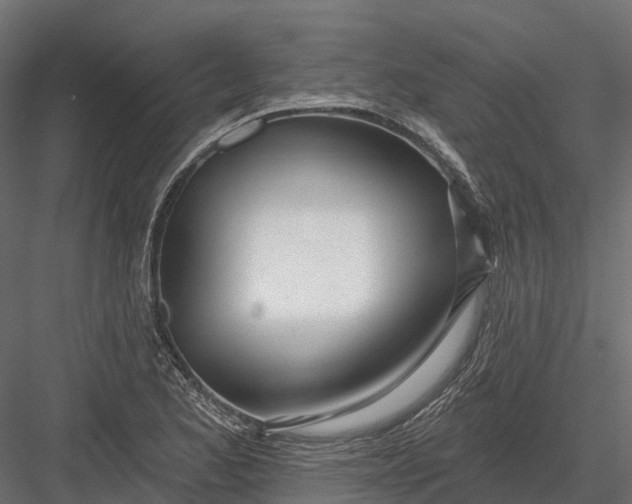 X0000083531173200702240010