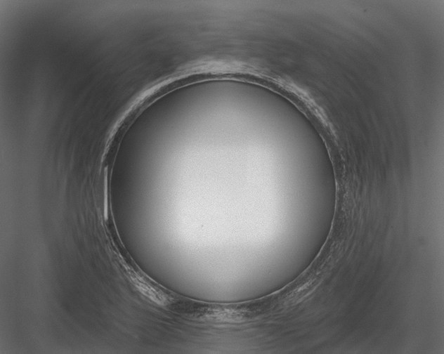 X0000083531175200702240010