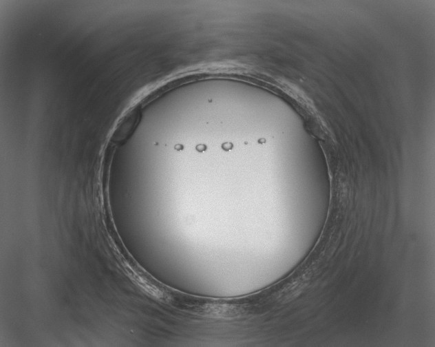 X0000083531176200702240010