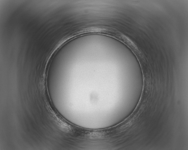 X0000083531178200702240010