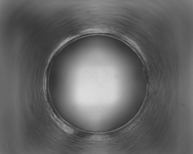 X0000083531179200702240010