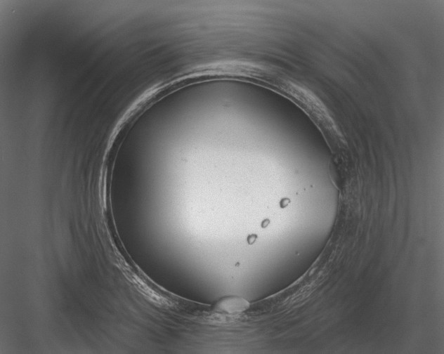 X0000083531180200702240010