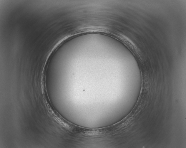 X0000083531182200702240010