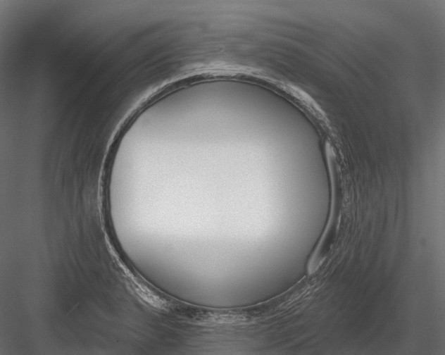 X0000083531183200702240010