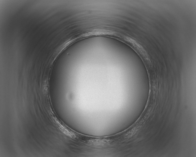 X0000083531185200702240010