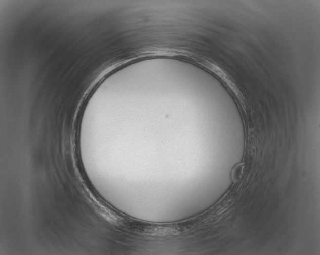 X0000083531187200702240010