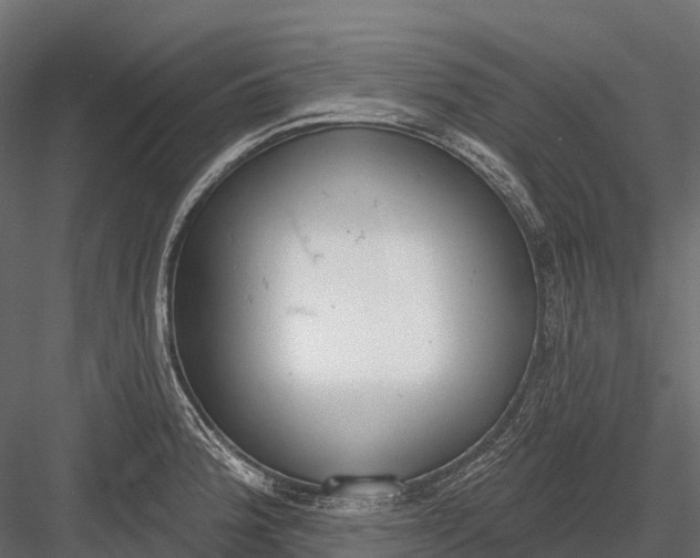 X0000083531188200702240010