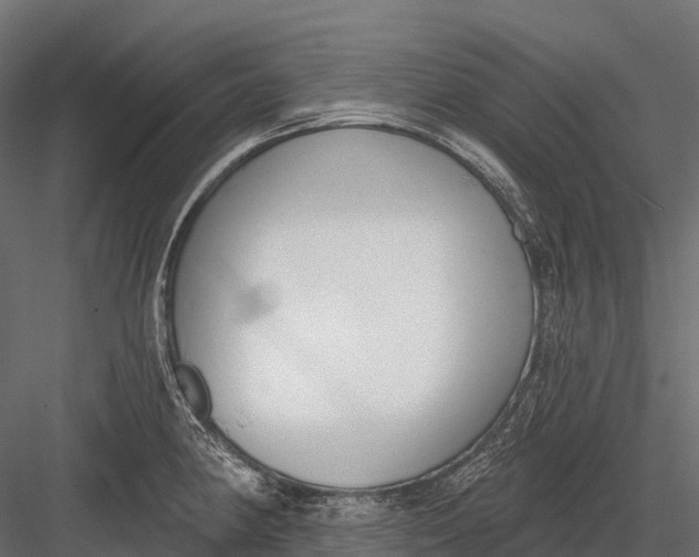 X0000083531190200702240010