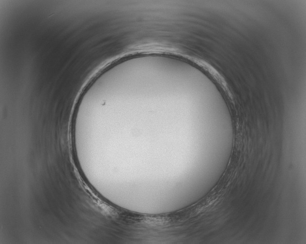 X0000083531191200702240010