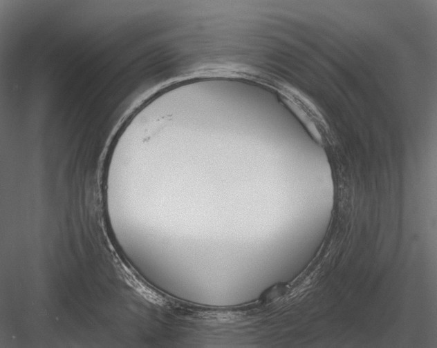 X0000083531192200702240010