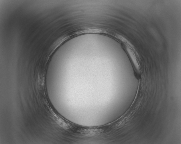 X0000083531193200702240010