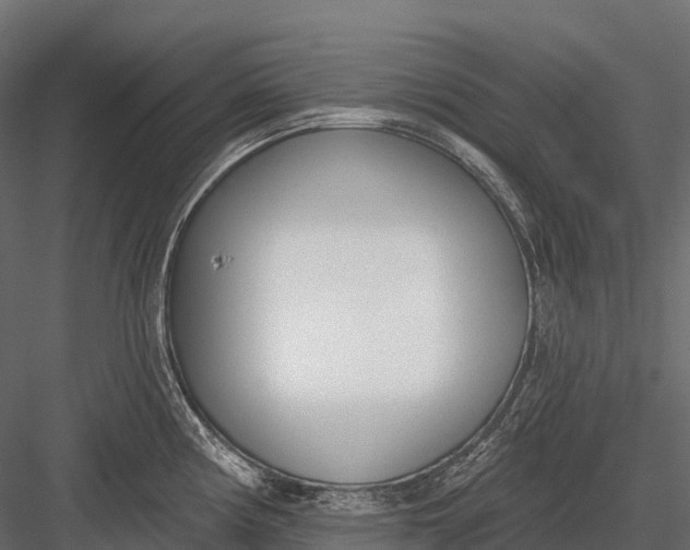 X0000083531194200702240010