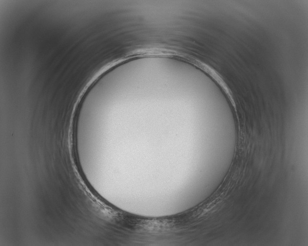 X0000083531195200702240010