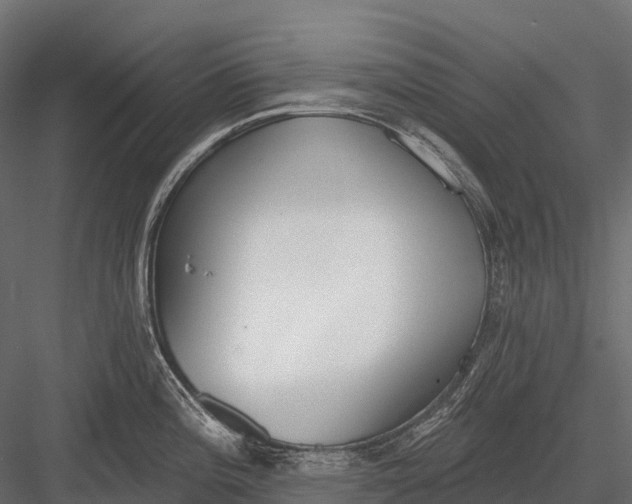 X0000083531196200702240010