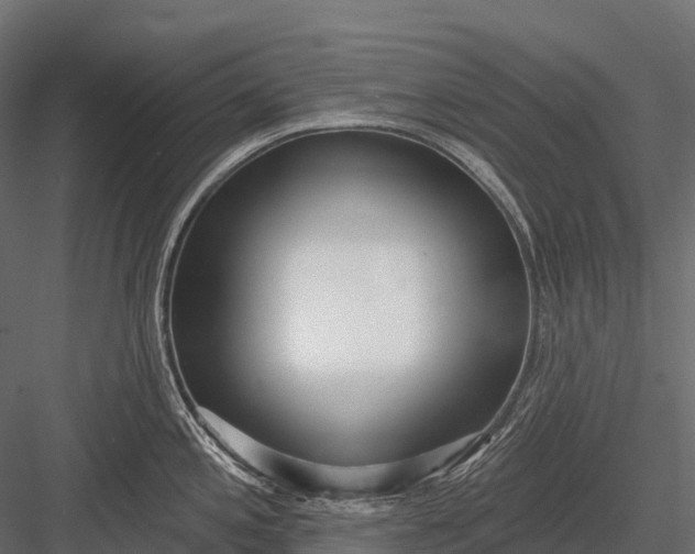 X0000083531197200702240010