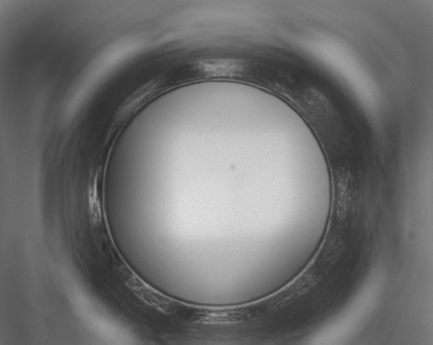 X0000083531198200702240010