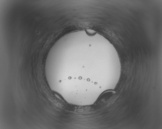 X0000083531201200702240009