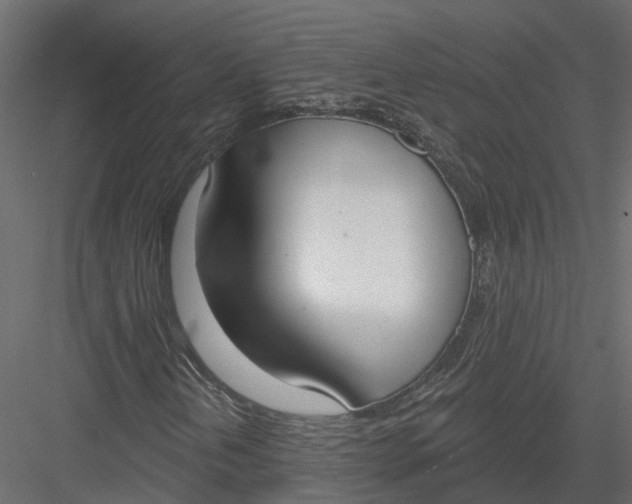 X0000083531202200702240009