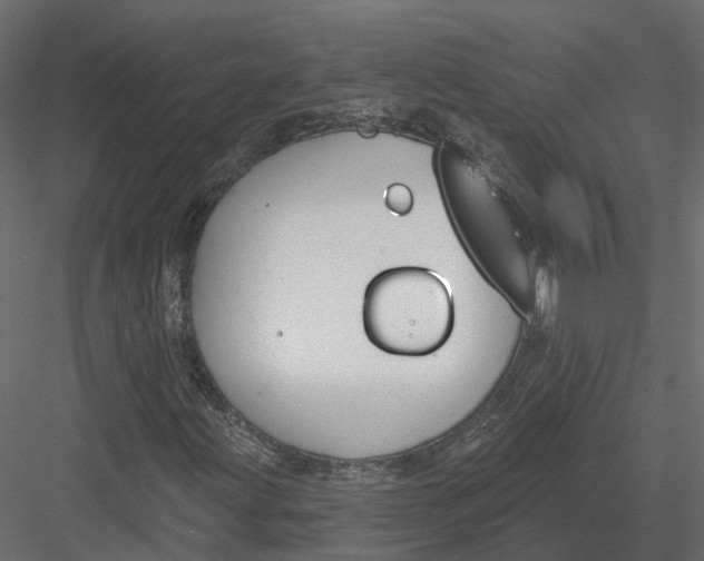 X0000083531203200702240009