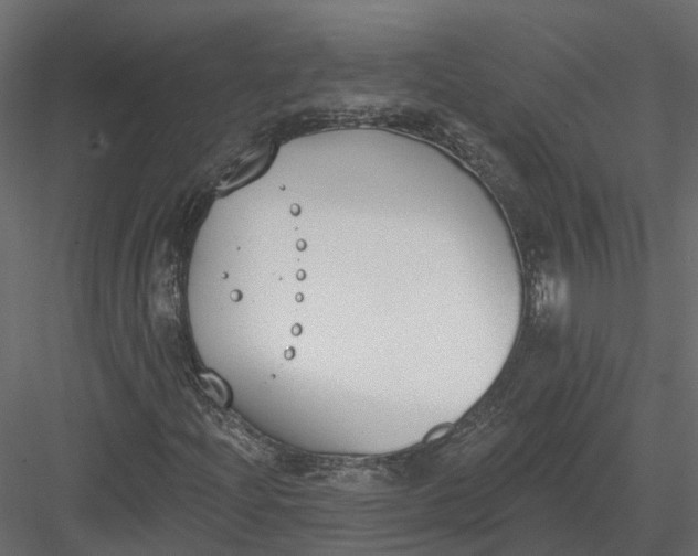 X0000083531204200702240009