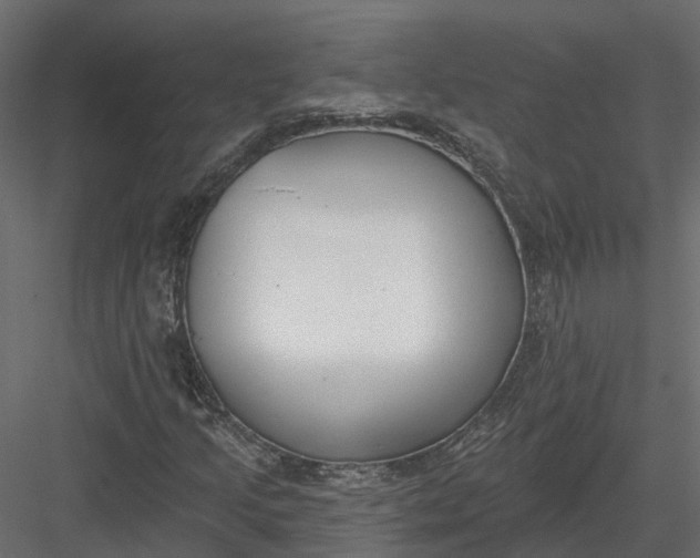 X0000083531205200702240009