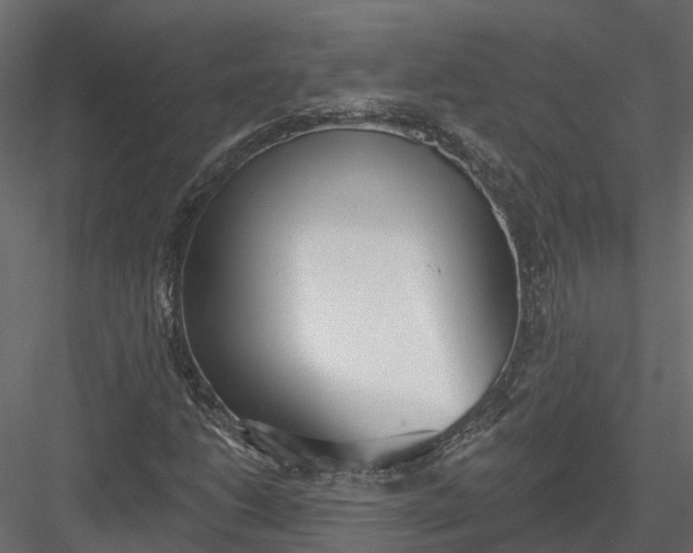 X0000083531206200702240009