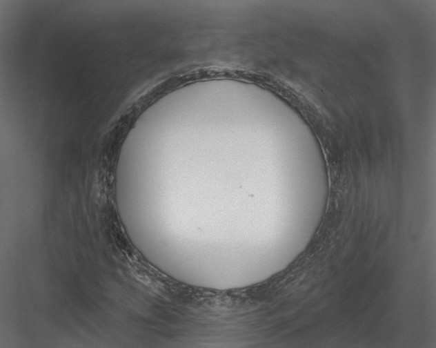 X0000083531207200702240009