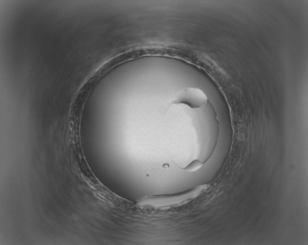 X0000083531208200702240009