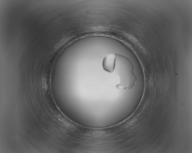 X0000083531209200702240009