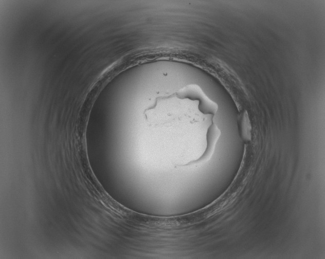 X0000083531210200702240009