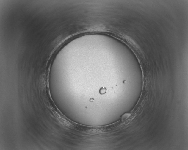 X0000083531212200702240009