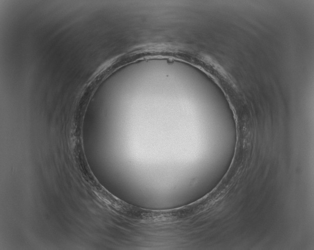 X0000083531213200702240009