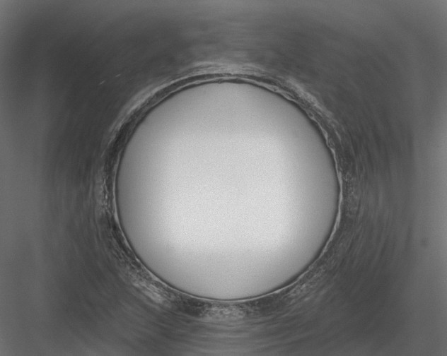 X0000083531215200702240009