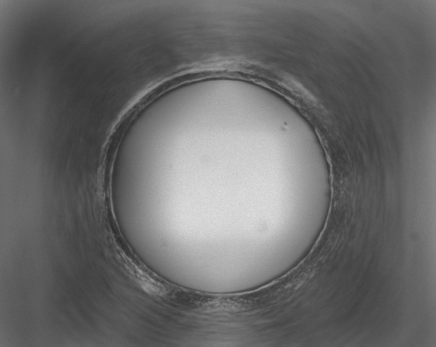 X0000083531216200702240009