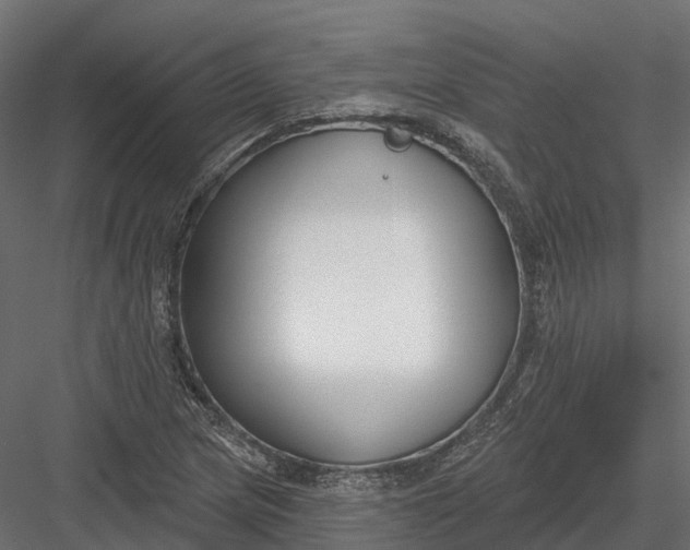 X0000083531217200702240009