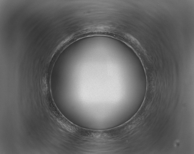 X0000083531218200702240009