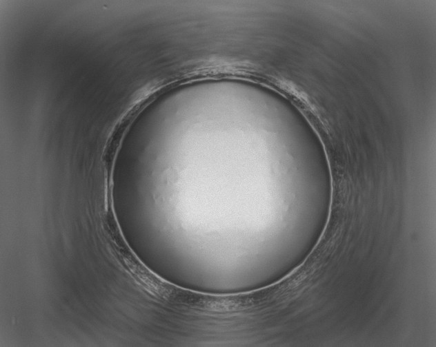 X0000083531219200702240009