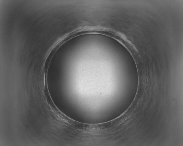 X0000083531221200702240009