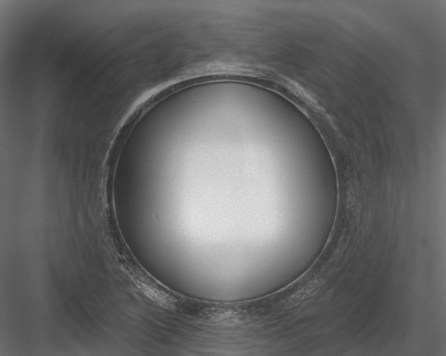 X0000083531222200702240009