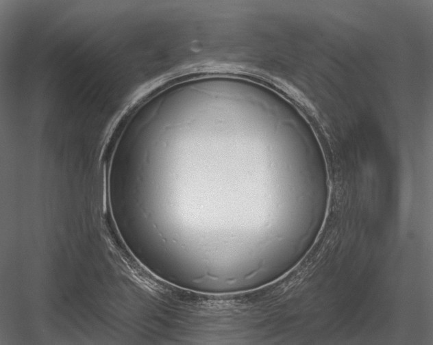 X0000083531223200702240009