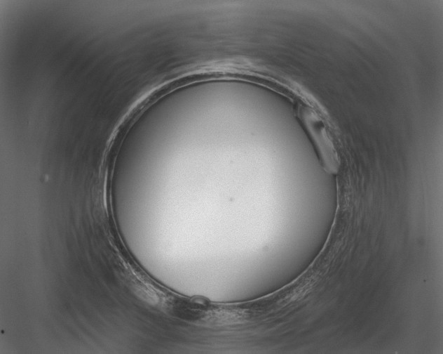 X0000083531224200702240009