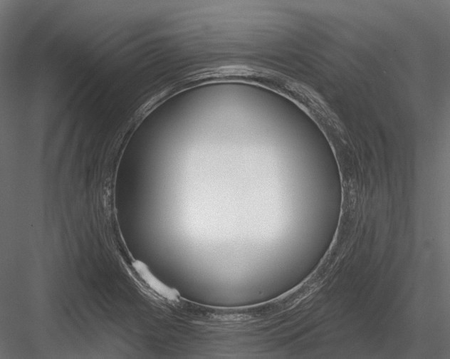 X0000083531225200702240009