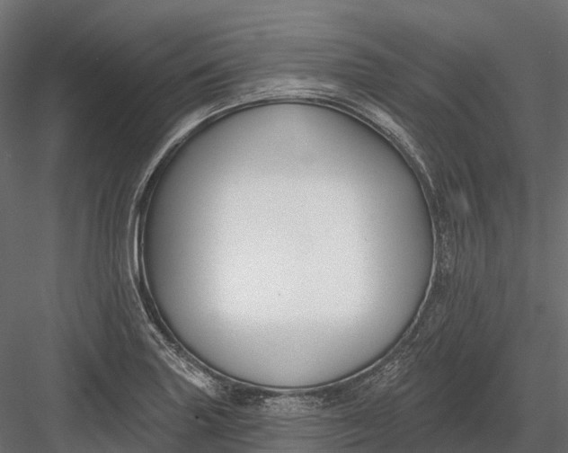 X0000083531227200702240009