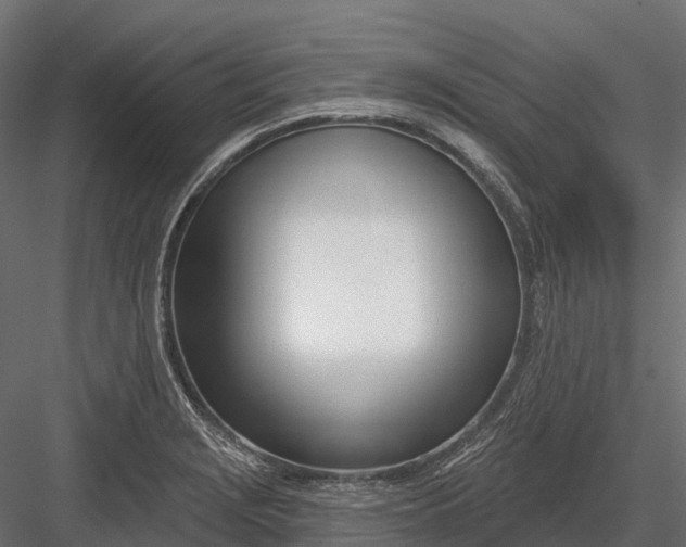 X0000083531229200702240009