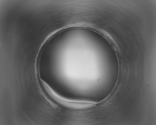 X0000083531230200702240009