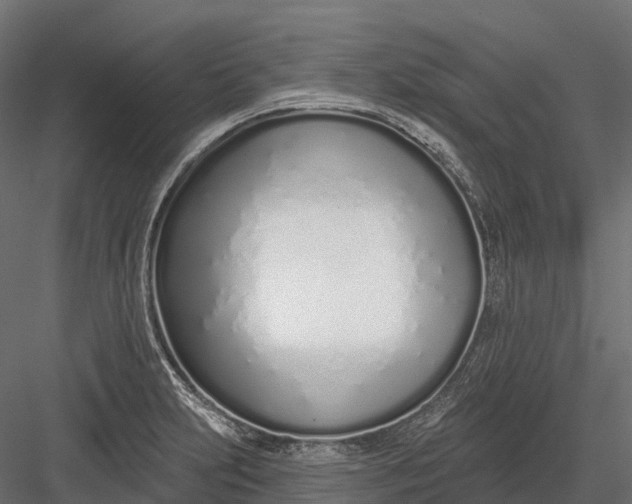 X0000083531231200702240009