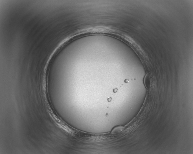 X0000083531232200702240009